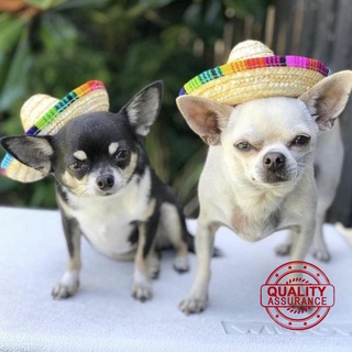Paja Mini perro mascota sombrero de paja mascota mexicano sombrero de paja mascota sombrero sol gato G6M5
