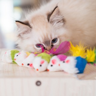 Juguete interactivo de la felpa del ratón del juguete del gato del animal doméstico