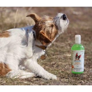 Shampoo antipulgas organico para mascotas