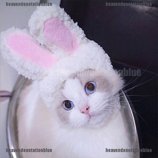 hemx divertido mascota perro gato gorra disfraz caliente conejo sombrero cosplay accesorios foto props tom