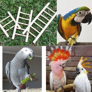 Mascota pájaro loro escalera de madera juguete