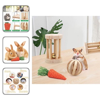 <COD> Entertainment Hamster Swing Toys Small Animal Play Chew Toys Exercise Training for Rabbit