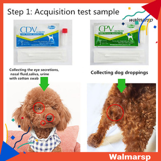 distemper canino virus perro cdv/cpv hogar nasal salud prueba de papel herramienta de detección