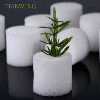 TIANWENG White Planted Sponge Homemade Soilless cultivation Gardening Tools Harmless Natural 50 pcs Soilless Planting Hydroponic Vegetable/Multicolor
