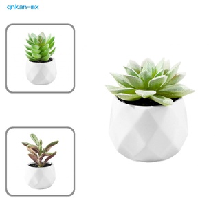 qnkan - plantas de cerámica blanca, ligeras, sintéticas, suculentas artificiales, con maceta para el hogar