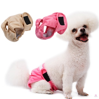 Cachorro perro pañal fisiológico pantalones mascotas niña perro ropa interior pantalones cortos accesorios para mascotas