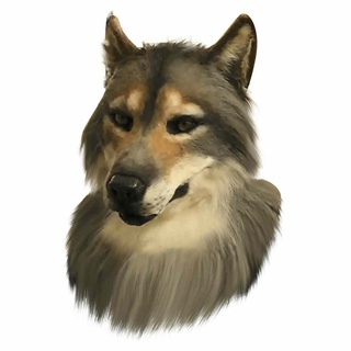 látex lobo cabeza animal máscara simulación látex lobo cabeza marrón pelo lobo máscara de halloween máscara (6)