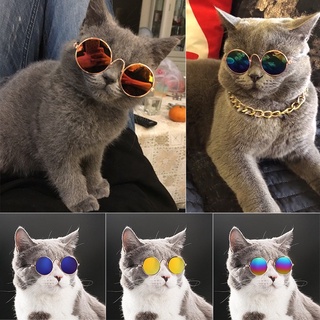 Gafas para gatos / Gafas de sol para mascotas / Gafas para gatos y perros