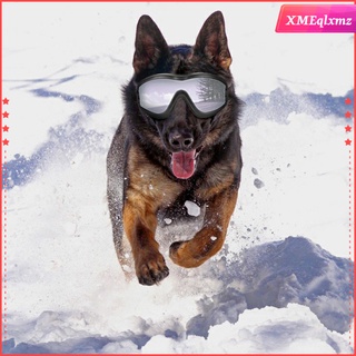 [XMEQLXMZ] gafas de sol para perros, gafas de sol grandes para perros, protección UV, correa ajustable