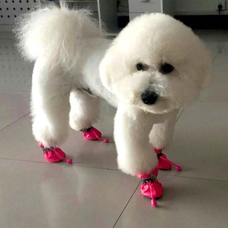 Zapatos de suela suave para cachorros antideslizantes impermeables para perros de mascotas pequeños (1)