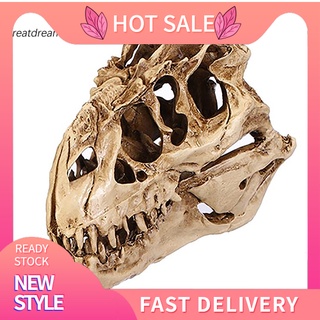 FOSSIL gd resina artesanía dinosaurio diente cráneo fósiles enseñanza esqueleto modelo decoración de halloween