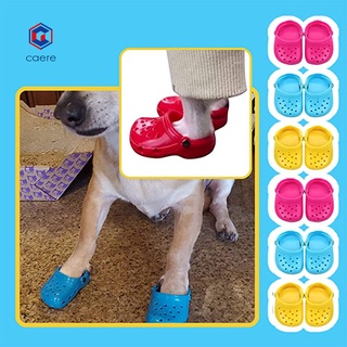 caere 1 Pair Beach Slippers Round Toe Breathable Rubber Non-Slip Dog Beach Shoes for Summer