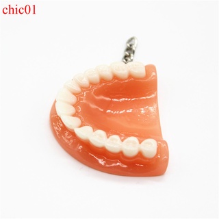 chic01 creativo diente llavero resina molar superior mandíbula modelo forma de dentadura llavero colgante llavero regalo