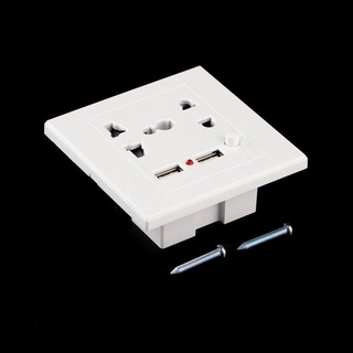 [PA] Dual USB cargador de pared eléctrico base estación de enchufe enchufe Panel de toma de corriente placa