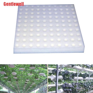 [Gentlewell] 100 pzs macetas hidropónicas sin tierra para viveros/esponja de cultivo