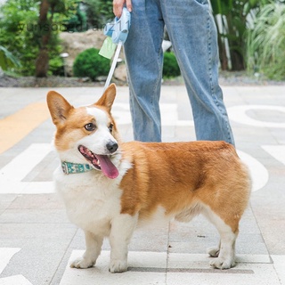 3/5m automático retráctil correa de perro cinturón cachorro mascota caminar nylon tracción cuerda plana doble interruptor suministros para mascotas