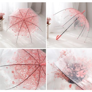 Paraguas transparente/paraguas de plástico transparente (2)