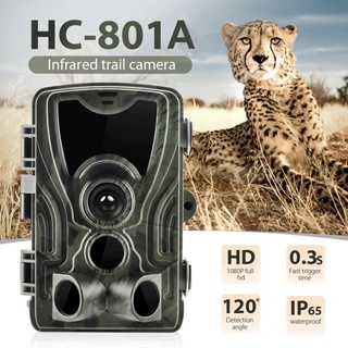 Hc801A 1080 P Hd À Prova D 'Água Ao Ar Livre Caça Câmera 16mp Leds De Visão Noturna Infravermelha 32g (8)