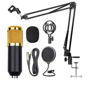 Kit Microfono Profesional Bm 800 Condensador Gold/Black (1)