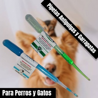 Repelente antipulgas y garrapatas para perros y gatos ANIKILL (3)