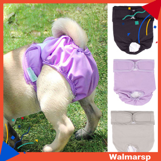 [wmp] ropa interior para mascotas a prueba de fugas lavable elástica mujer perro fisiológico pantalón para exteriores