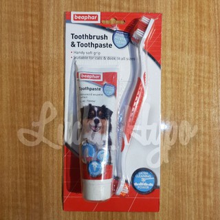 Juego de Kit Dental para perros, cepillo de dientes Beaphar y pasta Dental, pasta de dientes y cepillo de dientes