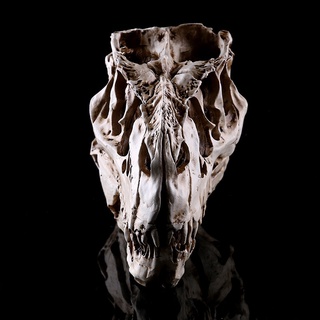 Fossil [Jinkeqcool] resina artesanía dinosaurio diente cráneo fósil enseñanza esqueleto modelo de Halloween decoración (5)