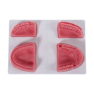 LU 4-in-1 Oral Suture Training Pad Designed with 4 Realistic Silicone Oral Suture Pads Multiple Wound Types Ideal for Nurse
