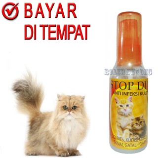 Detener DIX gato SPREY medicina hongo gato sarna picazón infección de la piel (1)