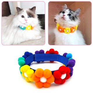 Collar Para mascotas con Flores/De Poliéster/Combina todo Para mascotas (3)