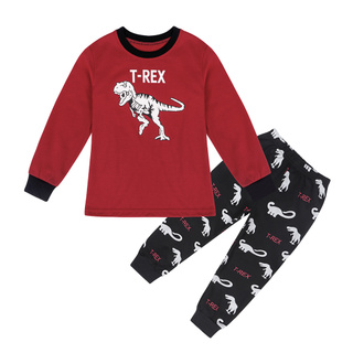 Amzbarley children's clothing cartoon clothing dinosaur pattern children's long sleeve suit (1)