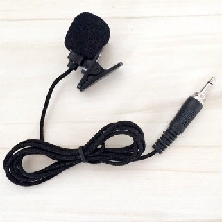 Mini micrófono amplificador de abeja Mini guía s:fhty63.my (1)