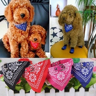 detroit - pañuelo ajustable para mascotas, perro, gato, bufanda, cuello, corbatas para mascotas