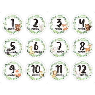 SKELETON 12 Unids/Set Recién Nacido Milestone Memorial Month Pegatinas Florales Bebé Mensual (3)