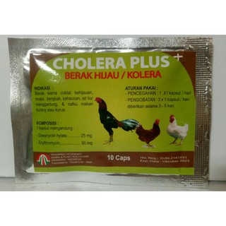 Cólera pollo medicina plus
