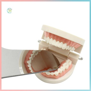 prometion herramientas dentales fotografía dental espejos de doble cara herramientas reflector de vidrio de la boca espejo dientes herramienta de blanqueamiento