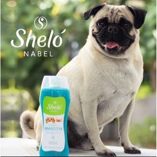 Shampoo para Mascota Anti pulgas de Extractos Naturales Marca Shelo NABEL
