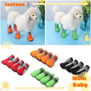 LANTANA Cálido Invierno Antideslizante Impermeable Perro Suministros Reflectantes Botas Para Mascotas Zapatos De/Multicolor (1)
