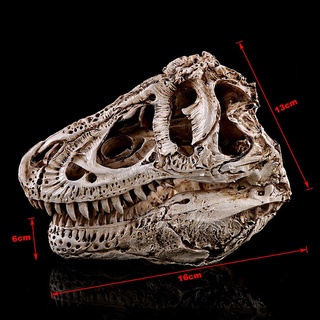 Fossil 1pc Nueva Tyrannosaurus T-Rex Resina Dinosaurio Cráneo Réplica De Esqueleto Fósil Modelo shuixudeniseAli (2)