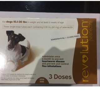 1Ho mediano tamaño perro revolución gotas piojos medicina