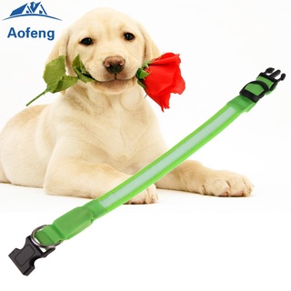 (Aofeng) Collar LED de nailon para mascotas, perro, seguridad nocturna, brillo oscuro