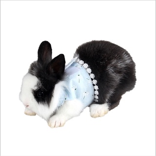 Outdooor - correa pequeña para mascotas (algodón, transpirable, ajustable)