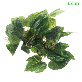 Imag caja De hojas Verdes artificiales vid vid Reptile Lagar 2.4m Planta