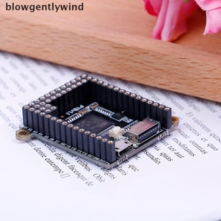 blowgentlywind micropython pyboard v1.1 python programación tablero de desarrollo bgn
