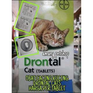 Drontal gato gusano medicina (1)