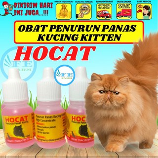 10ml gato gatito Hocat fiebre calor medicina FEFARM