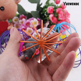 Y.w Creative Faux Mouse rata en jaula pelota mascota gato divertido regalo jugar Catch Toy (3)