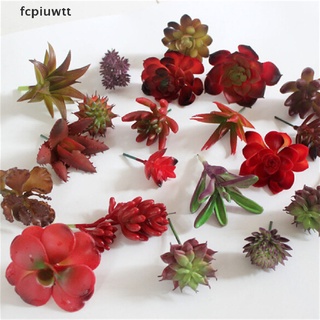 fcpiuwtt 5 piezas mini suculentas mixtas falsas plantas de cactus artificiales para hogar oficina jardín decoración mx