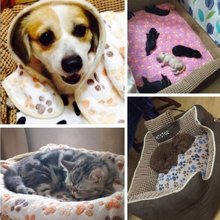 NATION - alfombrillas suaves para cama para perros, franela, cojín para gato, manta para mascotas, invierno caliente, estampado de pata, pequeño mediano, perros grandes, suministros para dormir, colchón para dormir (6)