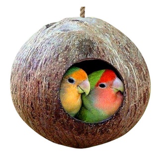 Animal nido de coco nido de pájaro hogar pulido concha de coco suministros para mascotas (1)